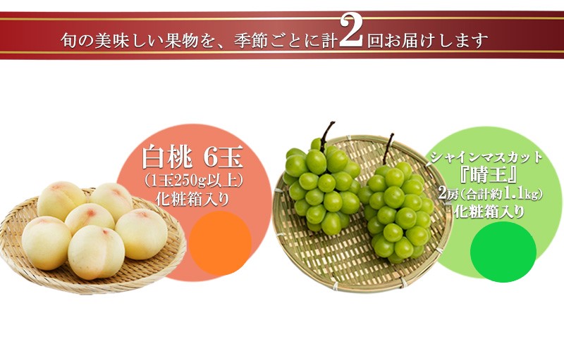 フルーツ 2025年 先行予約 晴れの国 岡山 の フルーツ 定期便 2回コース 桃 ぶどう 岡山県産 国産 フルーツ 果物 ギフト