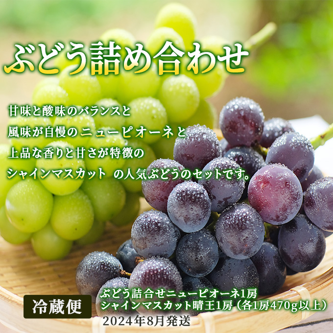 フルーツ 2024年 先行予約 晴れの国 岡山 の フルーツ 定期便 6回コース 桃 ぶどう 梨 岡山県産 国産 フルーツ 果物 ギフト