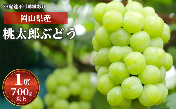 ぶどう 2024年 先行予約 桃太郎 ぶどう 1房 700g以上 化粧箱入り ブドウ 葡萄  岡山県産 国産 フルーツ 果物 ギフト