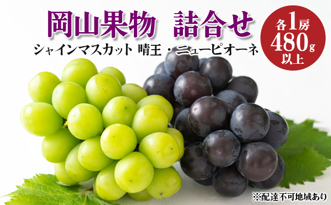 ぶどう 2024年 先行予約 岡山果物 詰合せ ニュー ピオーネ 1房 480g以上／ シャイン マスカット 1房 晴王 480g以上 化粧箱入り ブドウ 葡萄  岡山県産 国産 フルーツ 果物 ギフト
