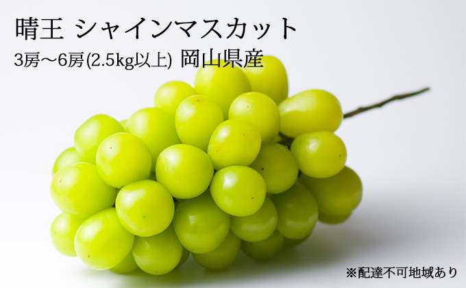 ぶどう［2023年先行予約］晴王 シャインマスカット 3房～6房（2.5kg