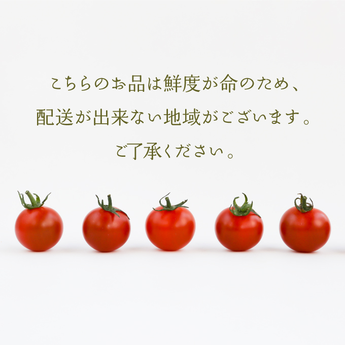 毎日食べたい石黒さんちの ミニトマト たっぷり 3kg 岡山県 瀬戸内市産 石黒農園【配達不可：離島】