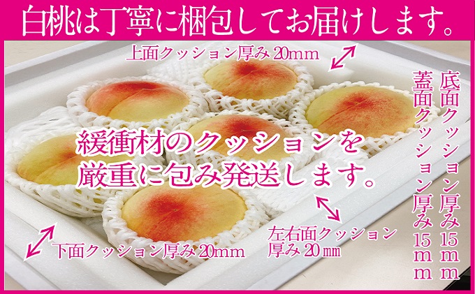 桃 2025年 先行予約 岡山の白桃 250g以上×6玉 白桃 旬 みずみずしい 晴れの国 おかやま 岡山県産 フルーツ王国 果物王国