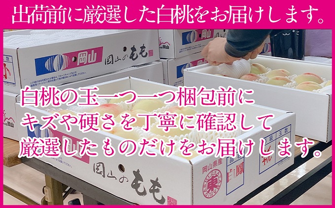 桃 2025年 先行予約 岡山の白桃 250g以上×6玉 白桃 旬 みずみずしい 晴れの国 おかやま 岡山県産 フルーツ王国 果物王国