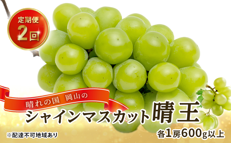 ぶどう 2024年 先行予約 晴れの国 岡山の シャイン マスカット 晴王 定期便 2回（各1房600g以上） 葡萄  岡山県産 国産 フルーツ 果物 ギフト