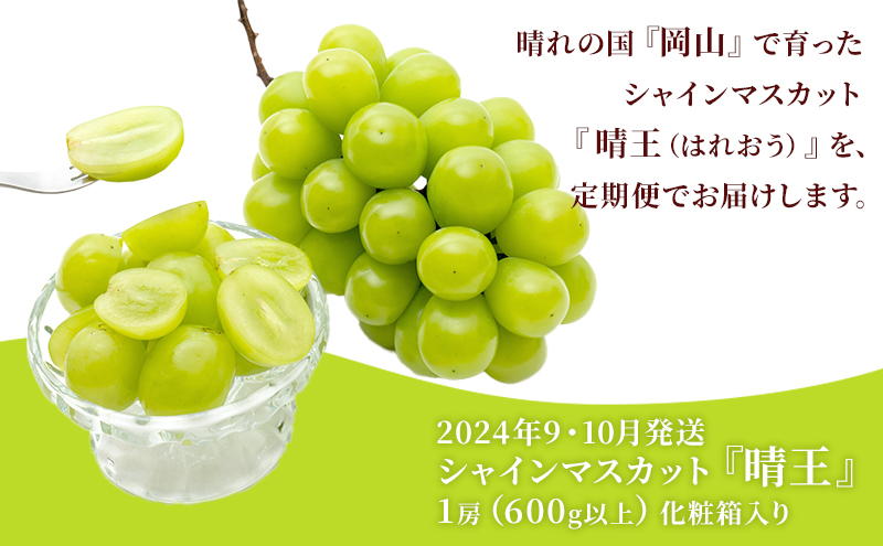 ぶどう 2025年 先行予約 晴れの国 岡山の シャイン マスカット 晴王 定期便 2回（各1房600g以上） 葡萄  岡山県産 国産 フルーツ 果物 ギフト
