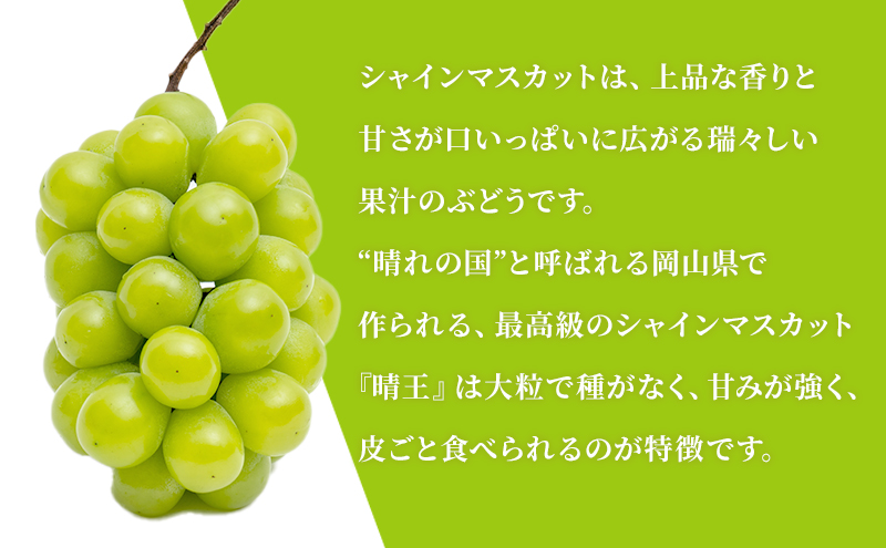 ぶどう 2025年 先行予約 晴れの国 岡山の シャイン マスカット 晴王 定期便 2回（各1房600g以上） 葡萄  岡山県産 国産 フルーツ 果物 ギフト