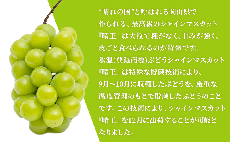 ぶどう 2024年 先行予約 3回お届け！  晴れの国 岡山の シャイン マスカット  晴王 ×3回！(各1房)  葡萄  岡山県産 国産 フルーツ 果物 ギフト