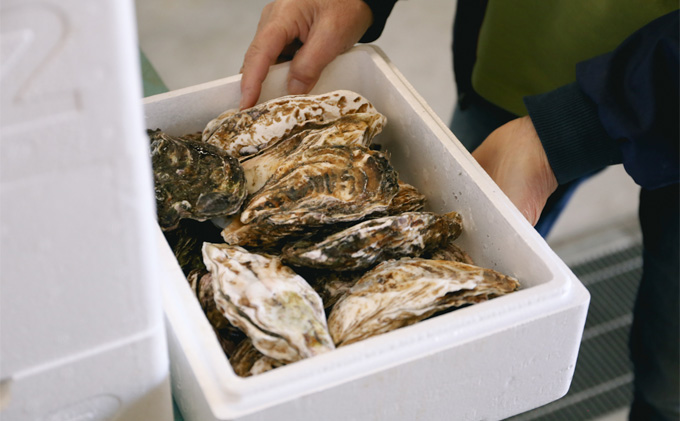 秀栄水産　瀬戸内の 牡蠣 （殻つき 約3kg） 海の幸 海のミルク 海鮮 貝 岡山県 瀬戸内市 虫明湾