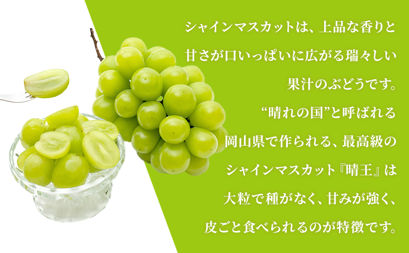 ぶどう 定期便 2025年 先行予約 シャイン マスカット 晴王 各月2房（1房600g以上） 3回コース マスカット ブドウ 葡萄  岡山県産 国産 フルーツ 果物 ギフト