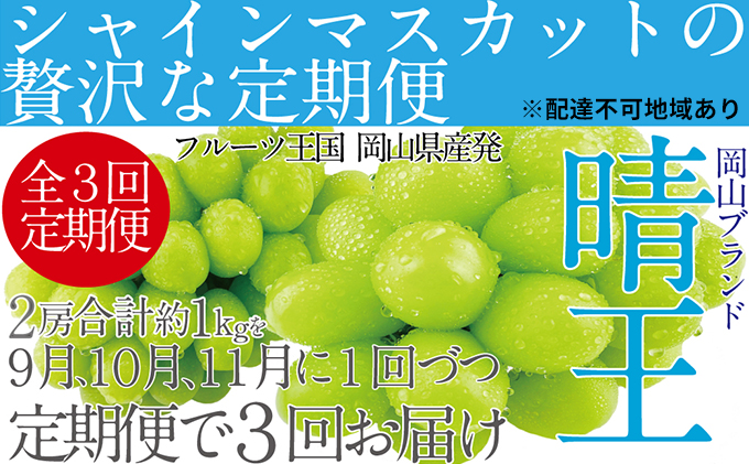  ぶどう 定期便3回［2024年］9月・10月・11月発送 シャインマスカット 晴王 2房（合計約1kg）岡山県産