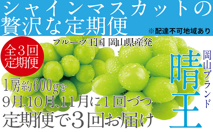  ぶどう 定期便3回［2024年］9月・10月・11月発送 シャインマスカット 晴王 1房 約600g 岡山県産