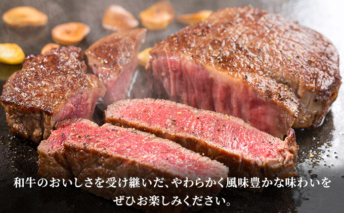  清麻呂 牛 ロース ステーキ肉 約1.08kg（約180g×6枚） 岡山市場発F1 牛肉