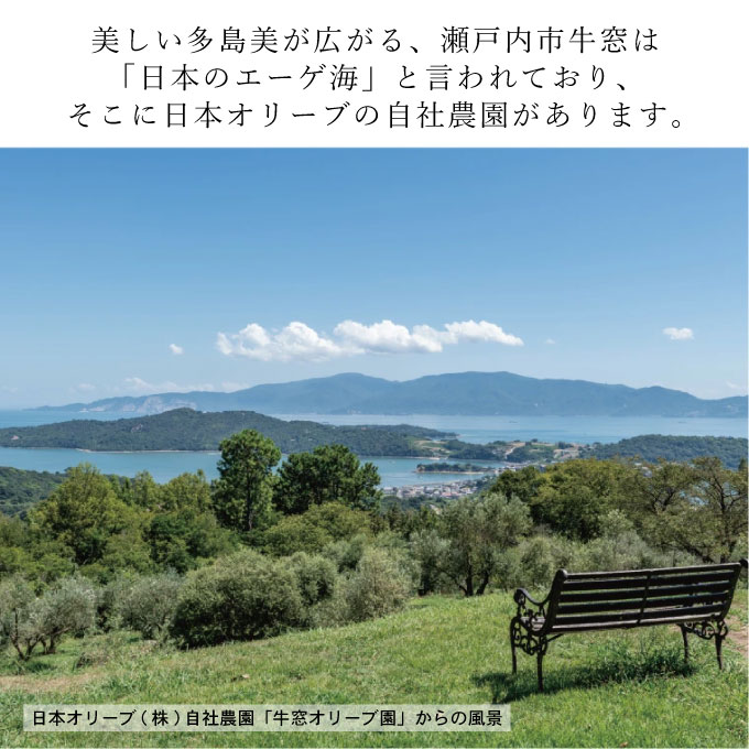 オリーブオイル 有機栽培 エキストラバージン オリーブ オイル シングル 450g 6本 セット オーガニック 調味料 油 オリーブ油 食用油