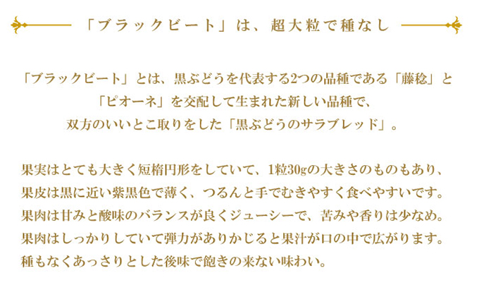 ぶどう 2024年 先行予約 ブラックビート 約600g×1房 ブドウ 葡萄  岡山県産 国産 フルーツ 果物 ギフト