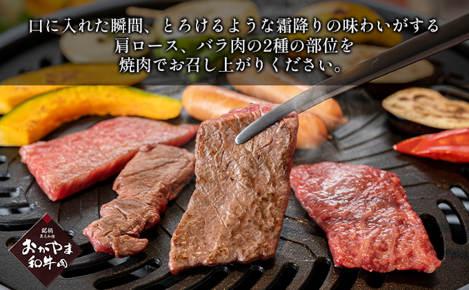 定期便 6ヶ月 おかやま 和牛肉 A4等級以上 食べ比べ 毎月 約450g×6回 牛 赤身 肉 牛肉 冷凍