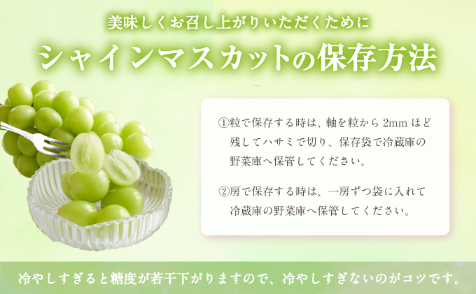 フルーツ 定期便 2024年 先行予約 晴れの国 おかやま の 白桃 2kg（5玉～7玉） シャイン マスカット 4房（合計2.8kg以上） 岡山県産 国産 セット ギフト