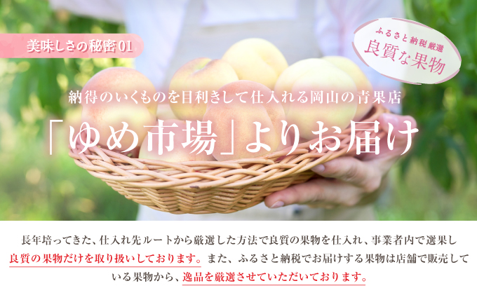 フルーツ 定期便 2024年 先行予約 晴れの国 おかやま の 白桃 2kg（5玉～7玉） シャイン マスカット 4房（合計2.8kg以上） 岡山県産 国産 セット ギフト