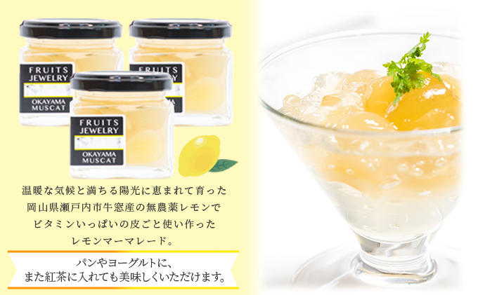 FRUITS JEWELRY 岡山 レモン マーマレード 120g×3個 セット （ 瀬戸内市 牛窓産 レモン使用） ジャム 無添加 皮ごと ビタミン