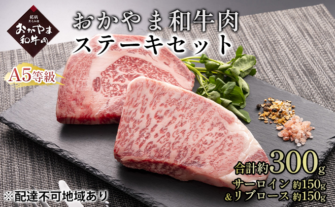 おかやま 和牛肉 A5 等級 ステーキ セット 合計約300g（サーロイン 約150g＆リブロース 約150g）牛 赤身 肉 牛肉 冷凍