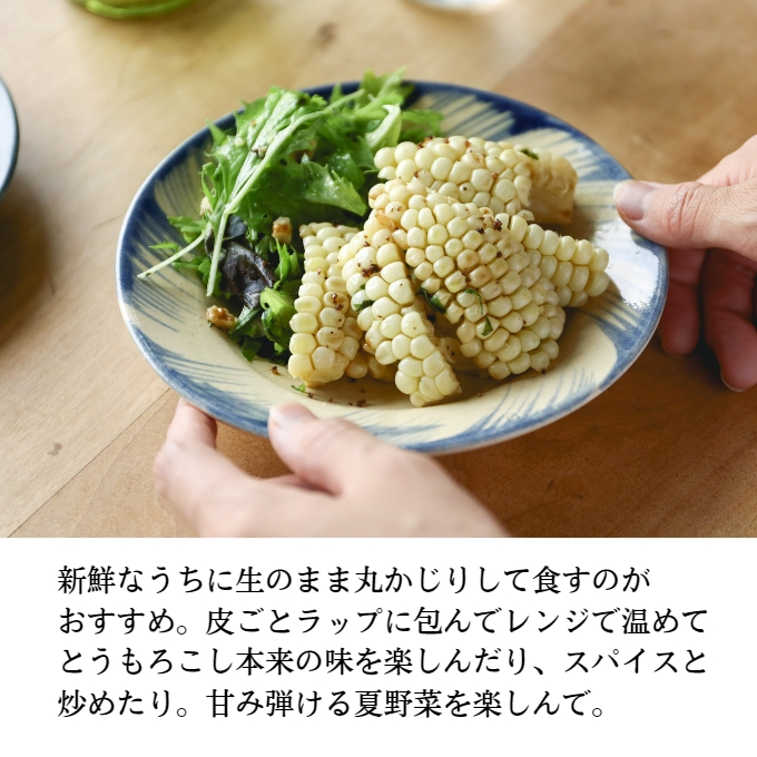  ［2025年先行予約］ まるでフルーツ！ 生で甘い、茹でて美味い！牛窓産 白色 とうもろこし 「うしまどんな」約4kg（8～12本入り）