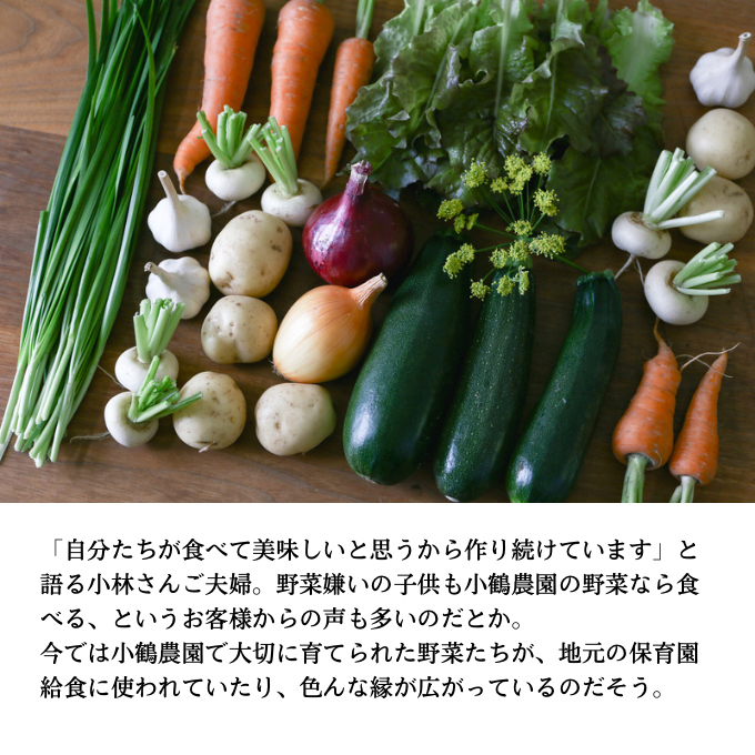 小鶴農園 季節のお野菜7～9品目セット（農薬・化学肥料不使用）【配達不可：北海道・沖縄・離島】