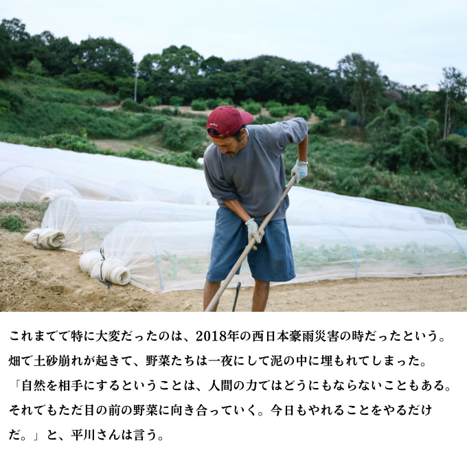 ORGANIC FARM 風の谷 旬 の 野菜 セット 9ヶ月 定期便 （月2回お届けコース）