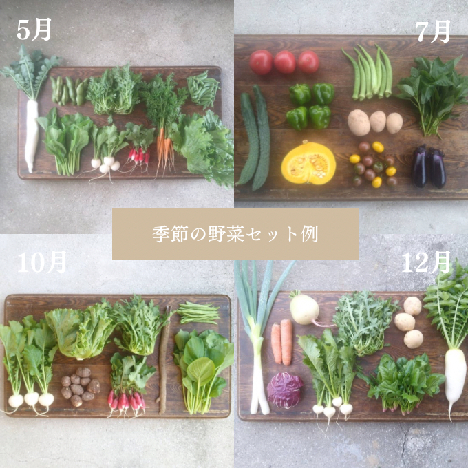 ORGANIC FARM 風の谷 旬 の 野菜 セット 9ヶ月 定期便 （月2回お届けコース）