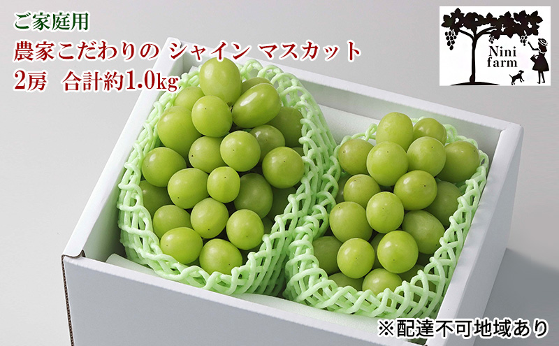 在庫日本製けんちゃん様専用　シャインマスカット　8kg 果物