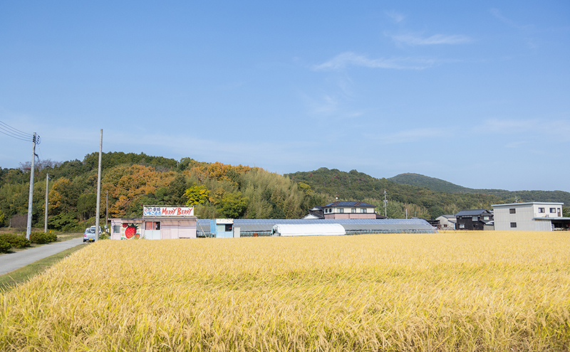 朝日米 玄米 5kg 令和5年産 有機JAS認証 岡山県奨励品種 あさひ米 米 お米 コメ おこめ 岡山