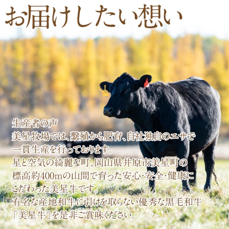 黒毛和牛 サーロインステーキ 約400g （約200g×2パック）A4等級 以上 牛脂付き サーロイン 美星牛 美星牧場 岡山
