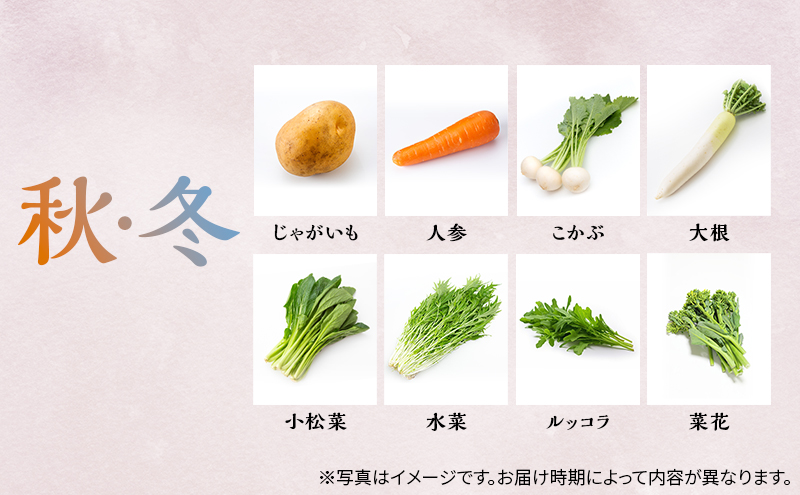 季節の野菜 7～8品目 セット 栽培期間中 無農薬 化学肥料不使用 旬 野菜 岡山