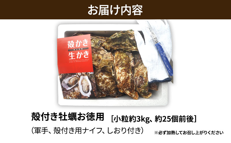 牡蠣 殻付き 小粒牡蠣 25個 お徳用 約3kg 岡山県 瀬戸内市