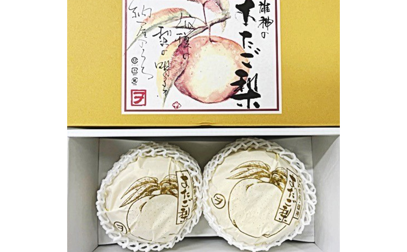 梨 2025年 先行予約 あたご梨 2玉（約1.7kg） 化粧箱入り なし ナシ 岡山県産 国産 フルーツ 果物 ギフト