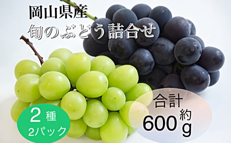 ぶどう 2025年 先行予約 旬のぶどう詰合せ 2種2パックセット(ニューピオーネ1房約300g×1P、シャインマスカット晴王1房約300g×1P)