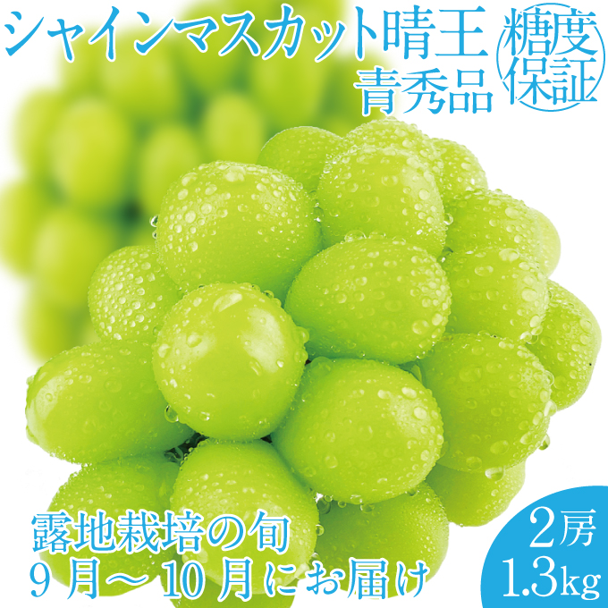 2025年 先行予約受付中 シャインマスカット晴王 2房 約1.3kg 岡山県産 種無し 皮ごと食べる みずみずしい 甘い フレッシュ 瀬戸内 晴れの国 おかやま 果物大国 ハレノフルーツ