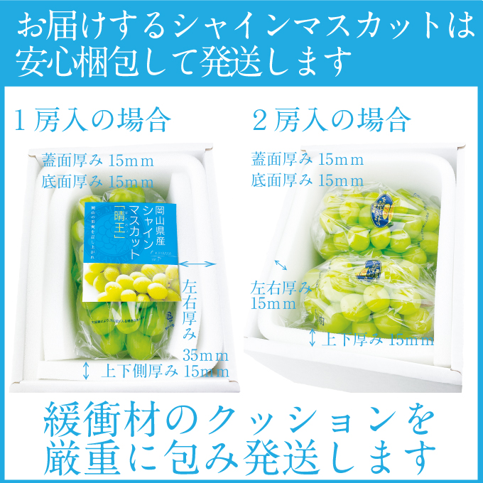 2025年 先行予約受付中 シャインマスカット晴王 2房 約1.3kg 岡山県産 種無し 皮ごと食べる みずみずしい 甘い フレッシュ 瀬戸内 晴れの国 おかやま 果物大国 ハレノフルーツ