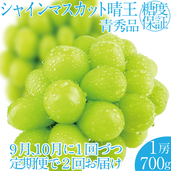 2025年 先行予約受付中【2回定期便】シャインマスカット晴王1房 約700g 岡山県産 種無し 皮ごと食べる みずみずしい 甘い フレッシュ 瀬戸内 晴れの国 おかやま 果物大国 ハレノフルーツ