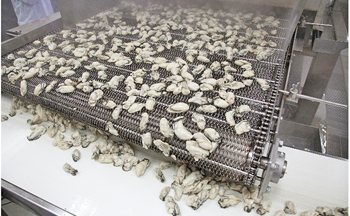 牡蠣 冷凍 蒸し牡蠣 1kg （500g×2箱） MSC認証 マルト水産 岡山県邑久町虫明産