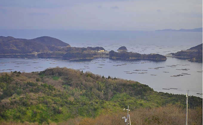 牡蠣 冷凍 蒸し牡蠣 大粒 1kg （500g×2箱） MSC認証 マルト水産 岡山県邑久町虫明産