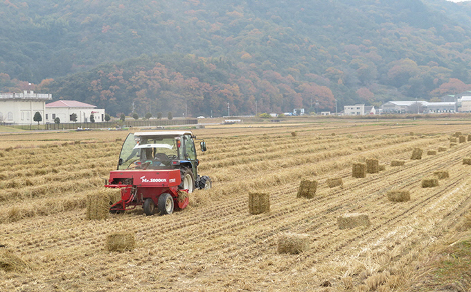 【新米】岡山県奨励品種「 アケボノ 」 2kg×2袋 （ 玄米 食用 ）