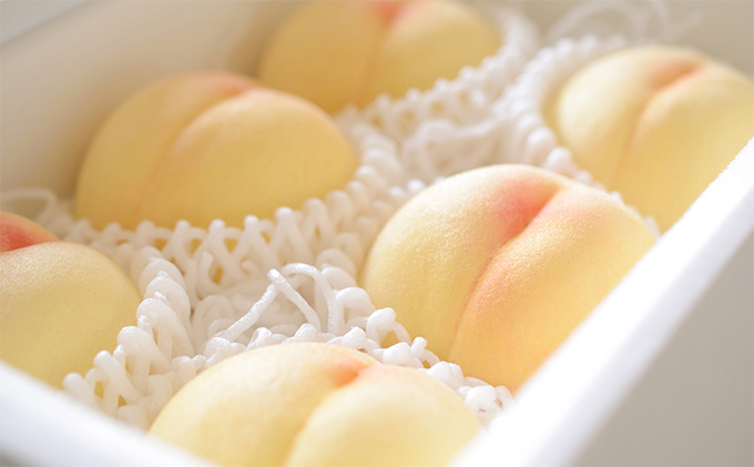 ●先行予約●岡山県産 晴れの国おかやまの 白桃 2kg（5玉～7玉）