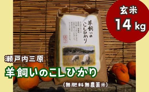 【無農薬】【無肥料】瀬戸内三原 羊飼いのこしひかり 玄米14kg 002011