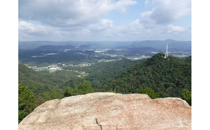 【3か月定期便】≪減農薬≫ 三原の絶景白滝山系の美味しいお米8kg（胚芽米）新米 002019