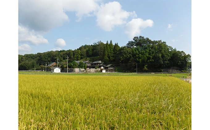 【3か月定期便】≪減農薬≫ 三原の絶景白滝山系の美味しいお米3.6kg（胚芽米）新米 002027