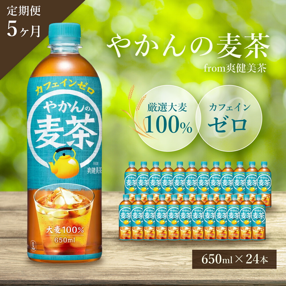 【5か月定期便】やかんの麦茶 from 爽健美茶 PET 650ml×24本(1ケース) ペットボトル お茶 むぎ茶 飲料 カフェインゼロ 箱買い まとめ買い 防災 備蓄 014008