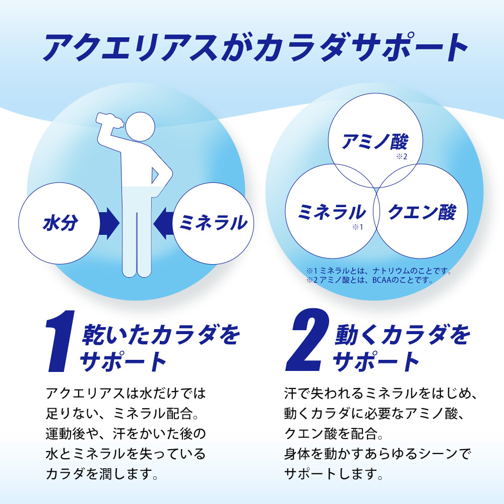 アクエリアスゼロ PET 500ml×48本(24本×2ケース) スポーツドリンク スポーツ飲料 清涼飲料水 水分補給 カロリーゼロ ペットボトル 箱買い まとめ買い 備蓄 災害用 014021