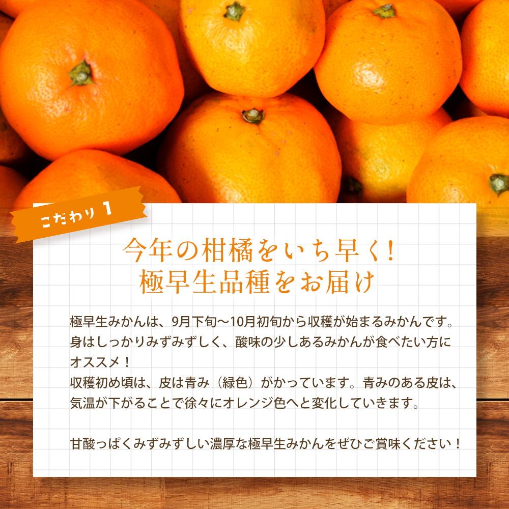 【先行予約】早生みかん約5kg 《果遊工房》【2024年11月以降発送】蜜柑 柑橘 果物 ミカン フルーツ ジューシー 甘いみかん 産地直送 お取り寄せ 017009 