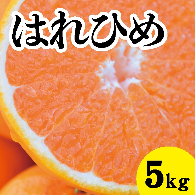 【先行予約】はれひめ約5kg【2025年1月以降発送】新品種 広島 三原 佐木島 鷺島みかんじま フルーツ 蜜柑 柑橘 果物 みかん ミカン 産地直送 お取り寄せ 017018