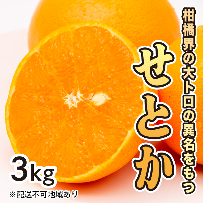 【先行予約】せとか約3kg【2025年2月以降発送】希少 広島 三原 佐木島 鷺島みかんじま フルーツ 蜜柑 柑橘 果物 みかん ミカン 産地直送 お取り寄せ 017020